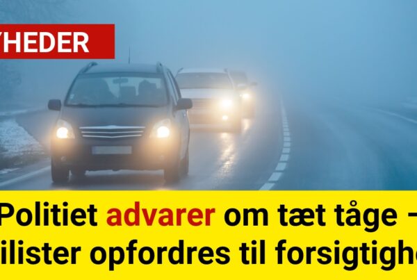 Politiet advarer om tæt tåge – Bilister opfordres til forsigtighed