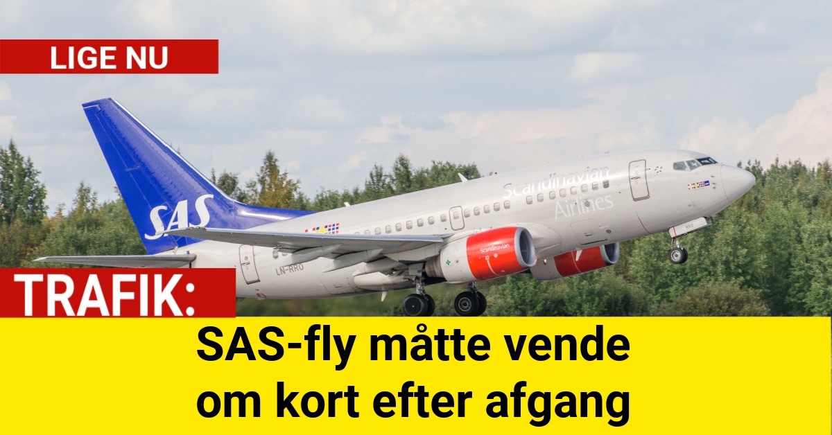 SAS-fly måtte vende om kort efter afgang