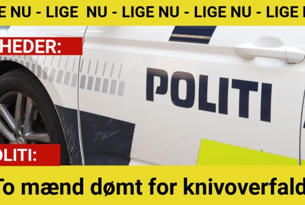 To mænd dømt for knivoverfald