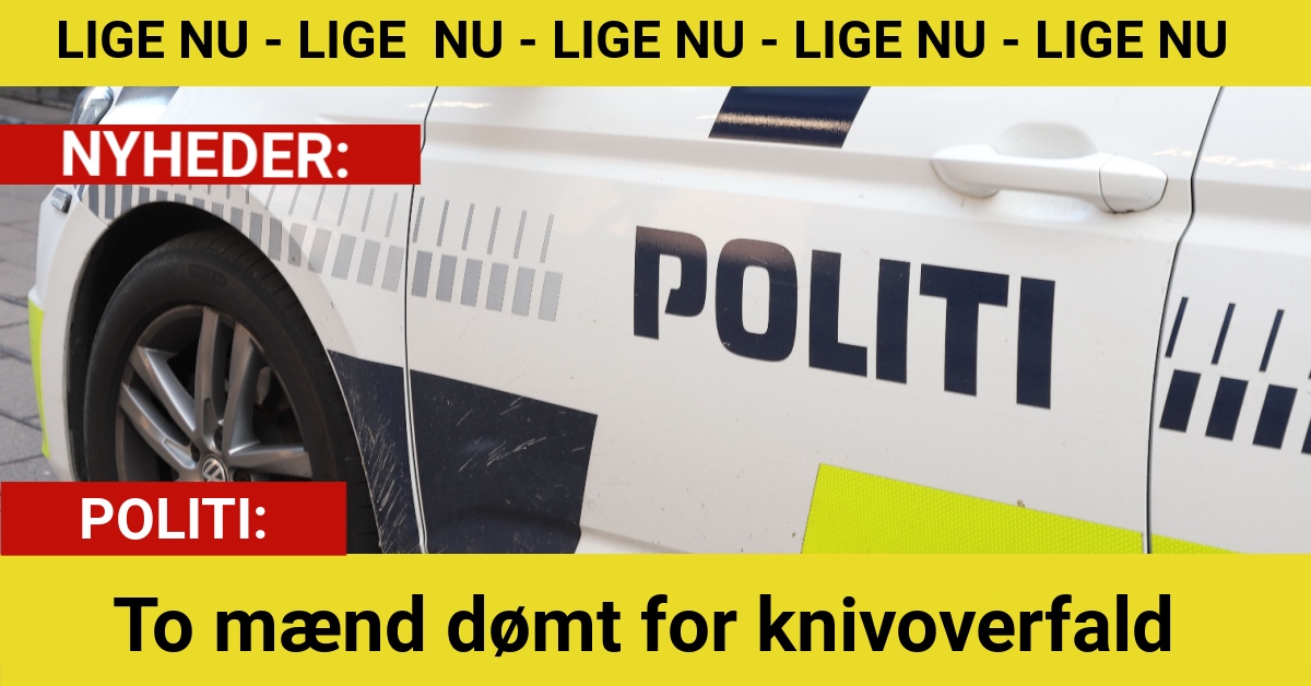 To mænd dømt for knivoverfald