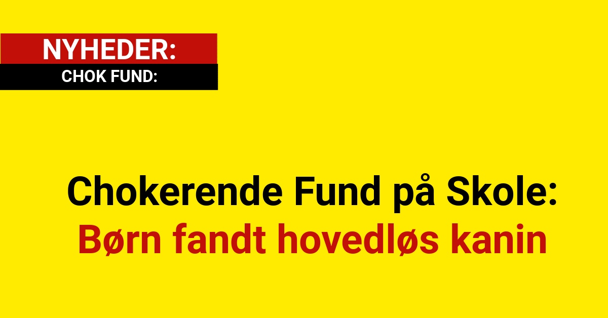 Chokerende Fund på Skole: Børn fandt hovedløs kanin