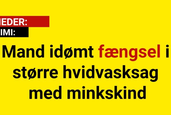 Mand idømt fængsel i større hvidvasksag med minkskind