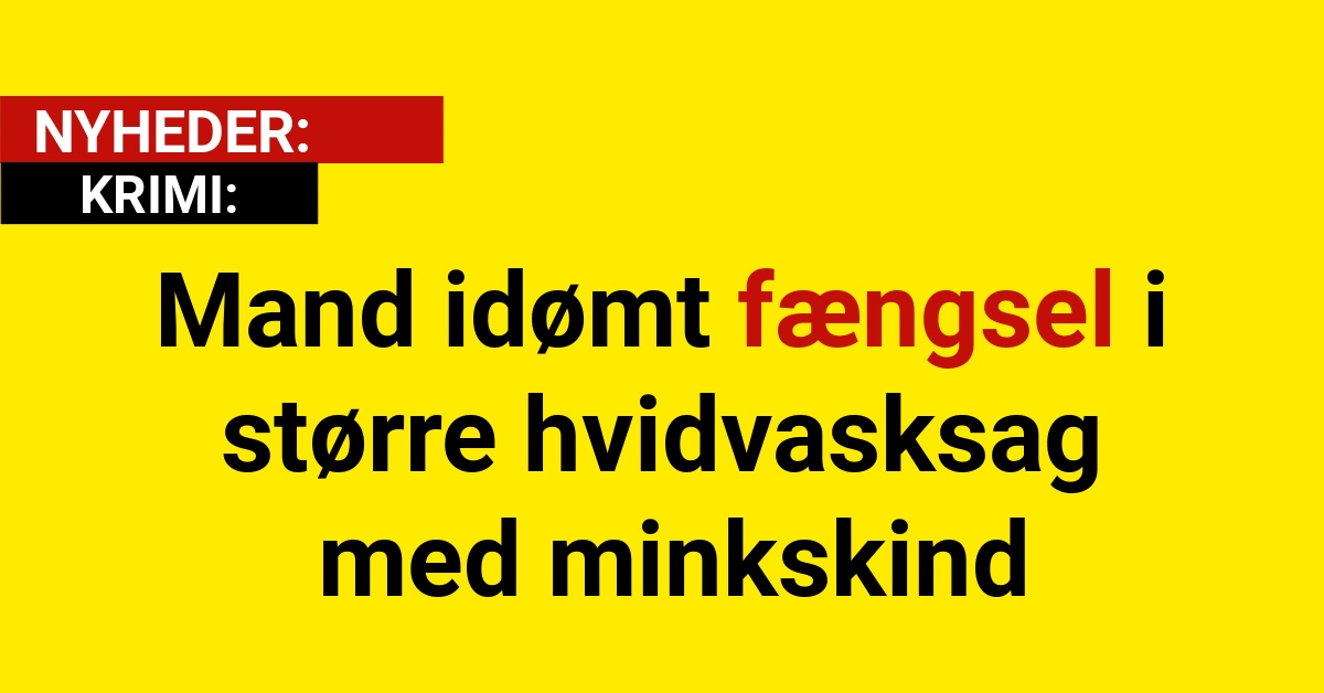 Mand idømt fængsel i større hvidvasksag med minkskind