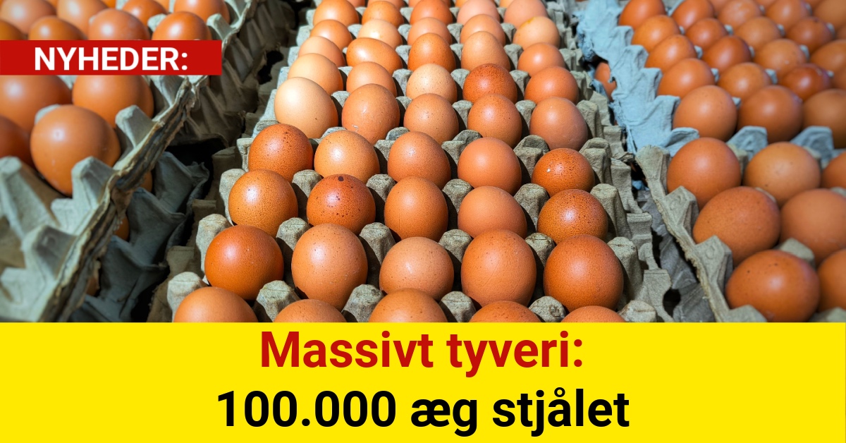 Massivt tyveri: 100.000 æg stjålet