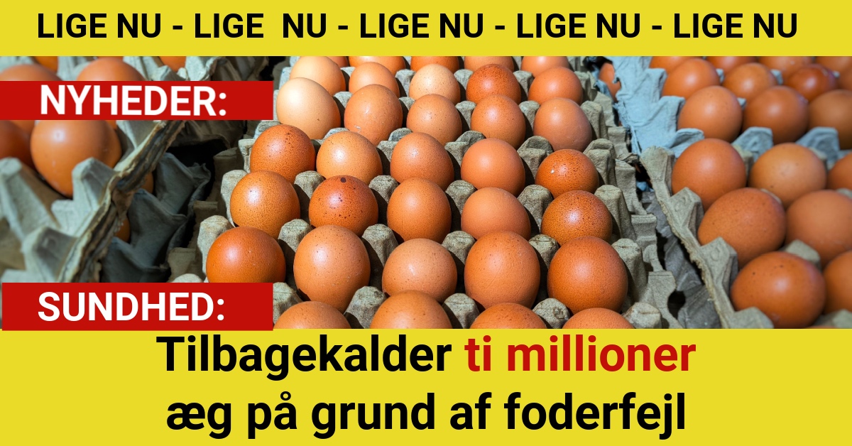 Tilbagekalder ti millioner æg på grund af foderfejl