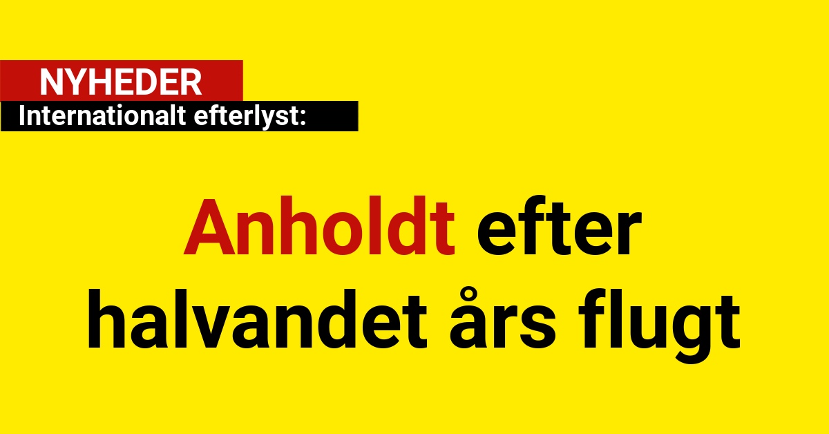 Internationalt efterlyst: Anholdt efter halvandet års flugt