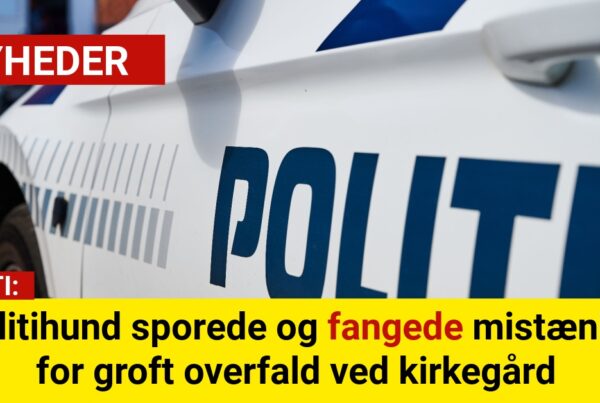 Politihund sporede og fangede mistænkt for groft overfald ved kirkegård