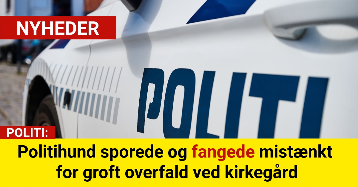 Politihund sporede og fangede mistænkt for groft overfald ved kirkegård