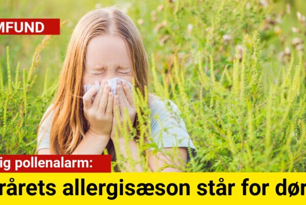 Tidlig pollenalarm: Forårets allergisæson står for døren