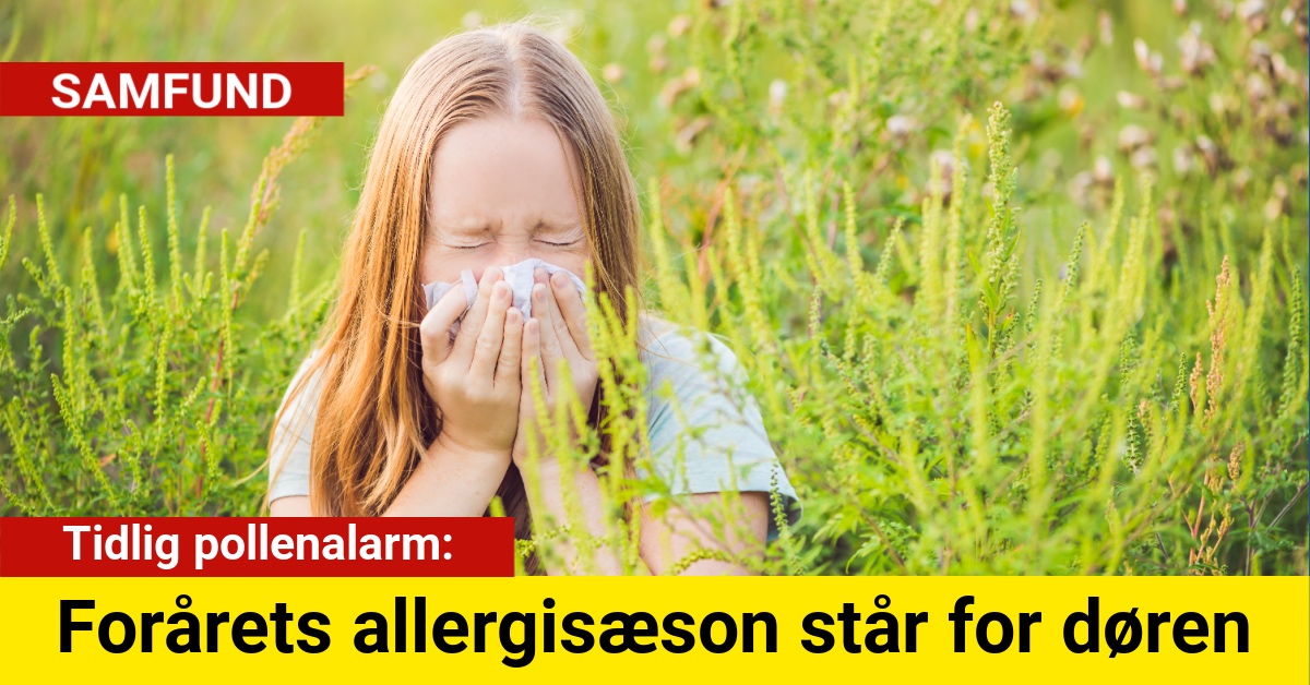 Tidlig pollenalarm: Forårets allergisæson står for døren