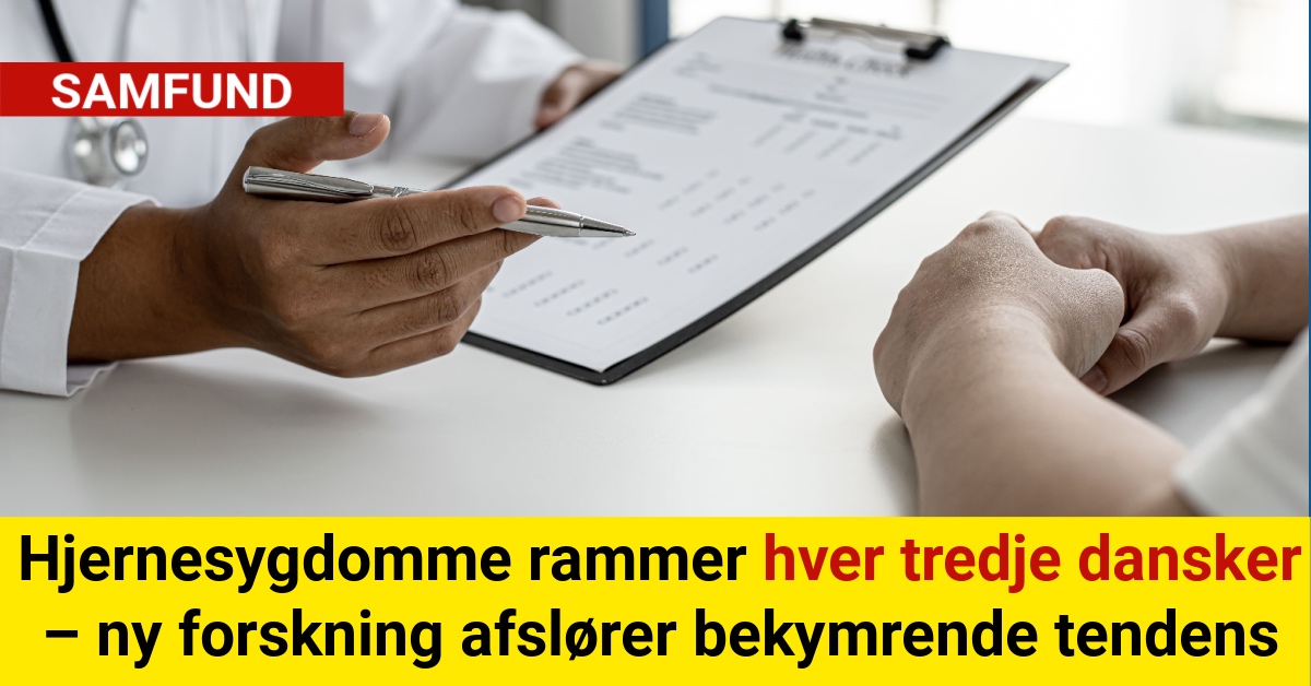 Hjernesygdomme rammer hver tredje dansker – ny forskning afslører bekymrende tendens