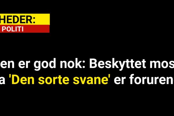 Den er god nok: