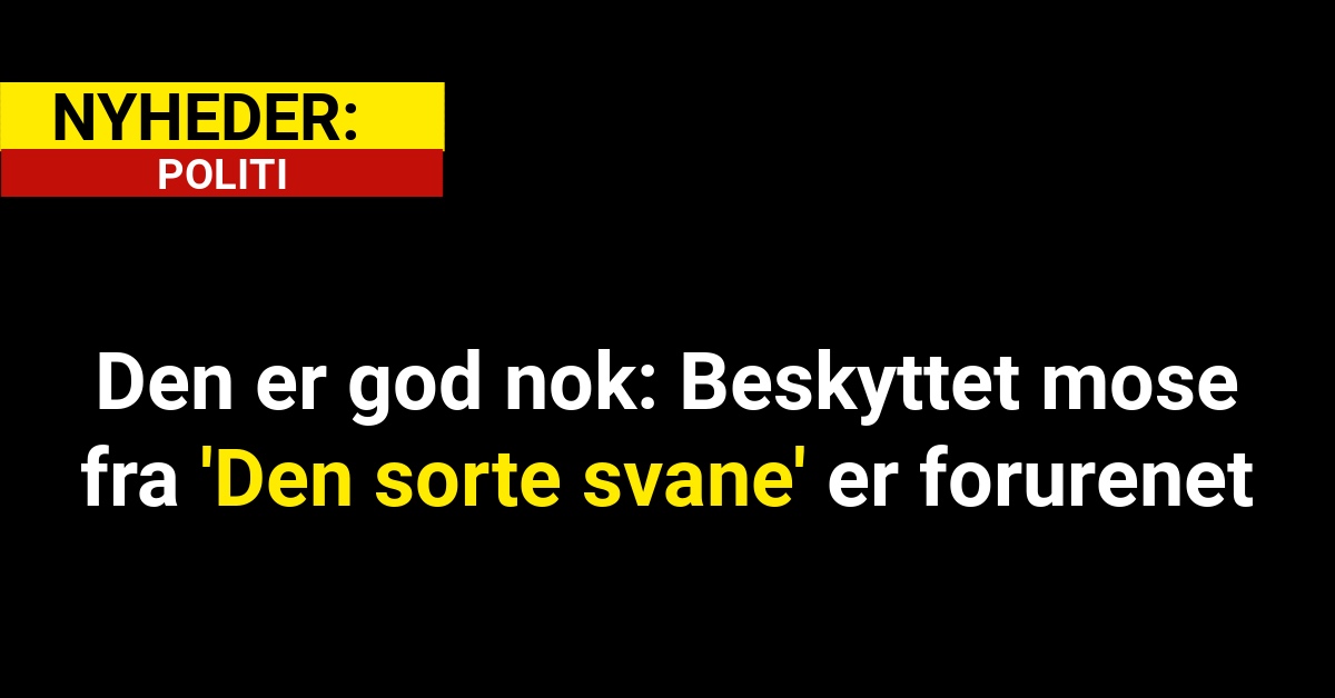 Den er god nok: