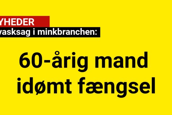 Hvidvasksag i minkbranchen: