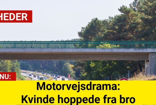 Motorvejsdrama: Kvinde hoppede fra bro