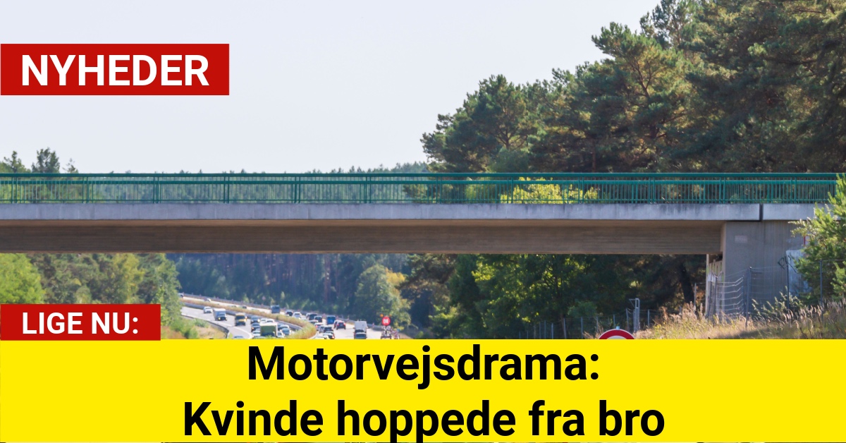 Motorvejsdrama: Kvinde hoppede fra bro