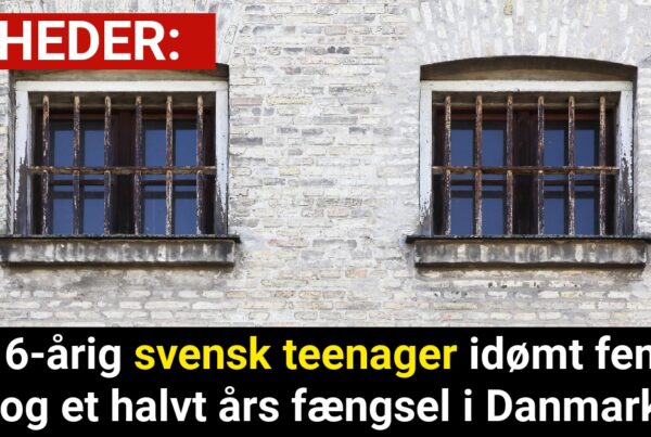 16-årig svensk teenager idømt fem og et halvt års fængsel i Danmark