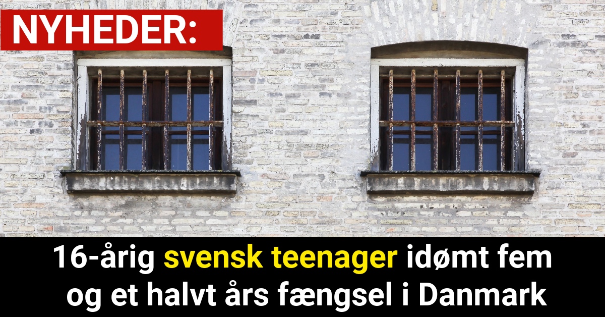 16-årig svensk teenager idømt fem og et halvt års fængsel i Danmark