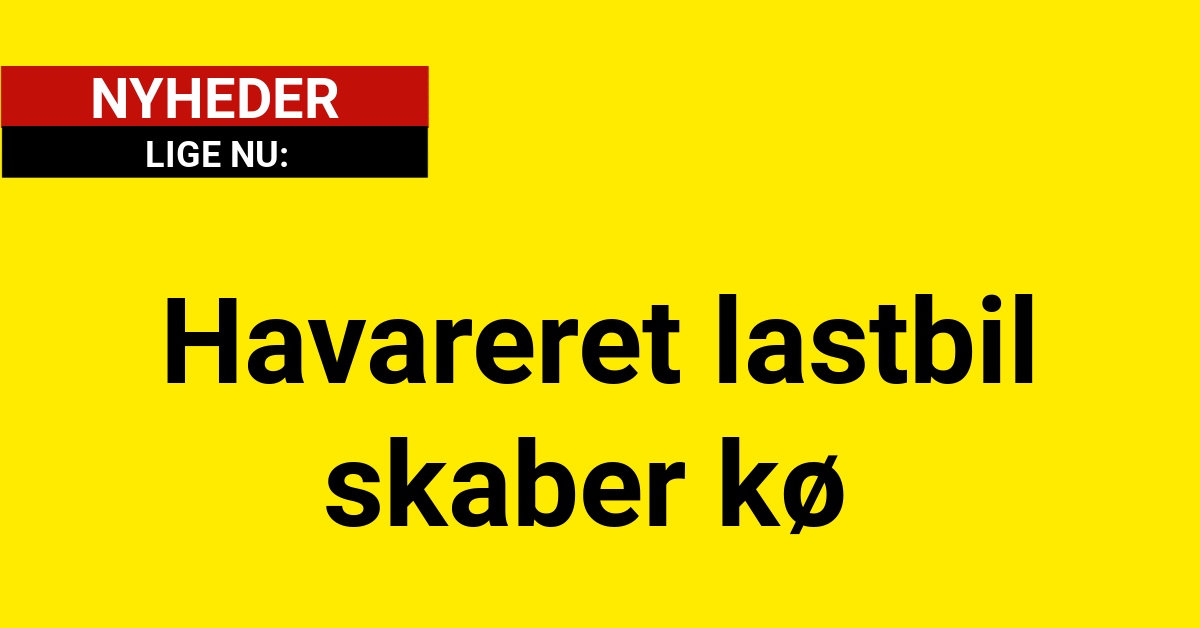 LIGE NU: