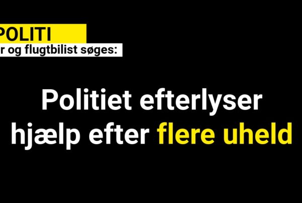 Vidner og flugtbilist søges: