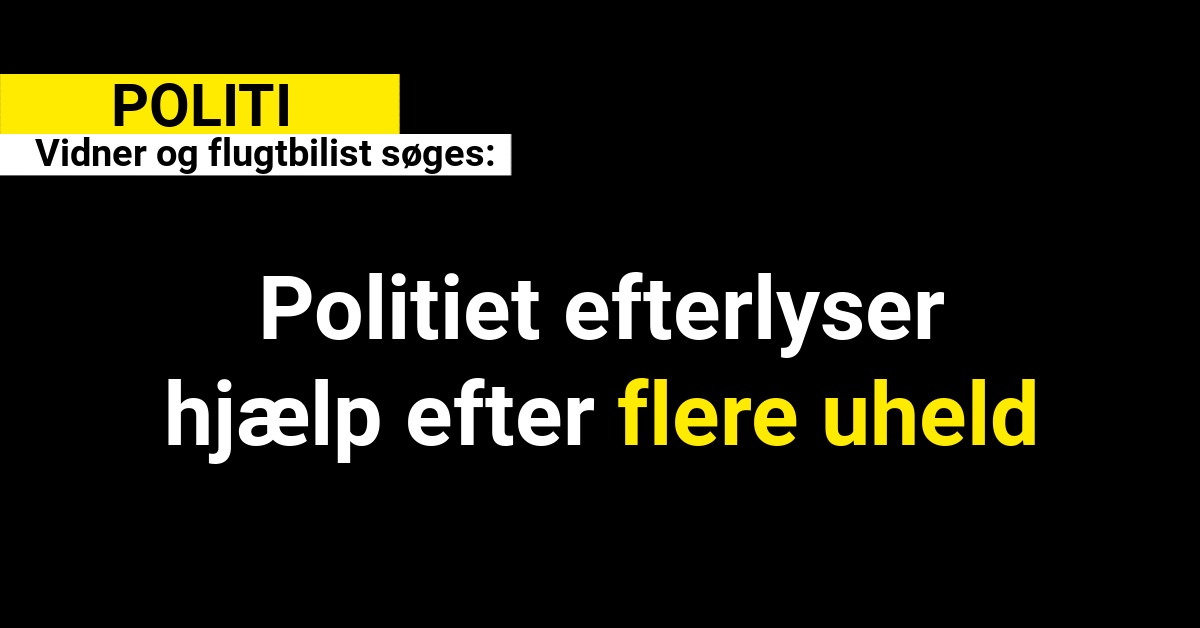 Vidner og flugtbilist søges: