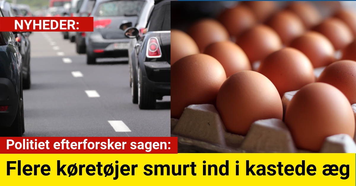 Politiet efterforsker sagen