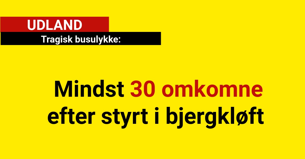 Tragisk busulykke: