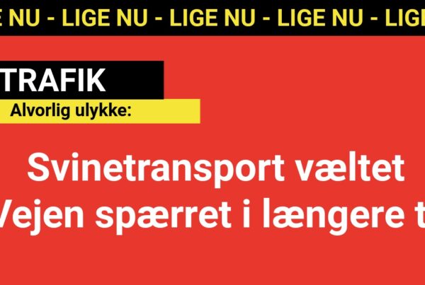 Alvorlig ulykke: Svinetransport væltet - Vejen spærret i længere tid