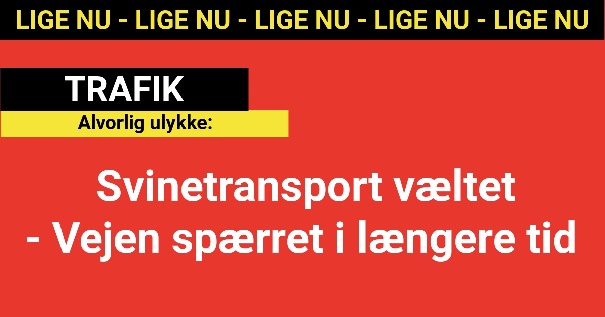 Alvorlig ulykke: Svinetransport væltet - Vejen spærret i længere tid