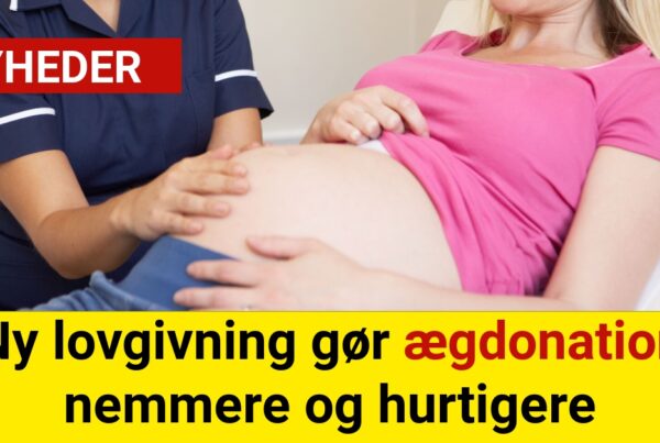 Ny lovgivning gør ægdonation nemmere og hurtigere