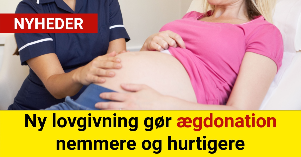 Ny lovgivning gør ægdonation nemmere og hurtigere