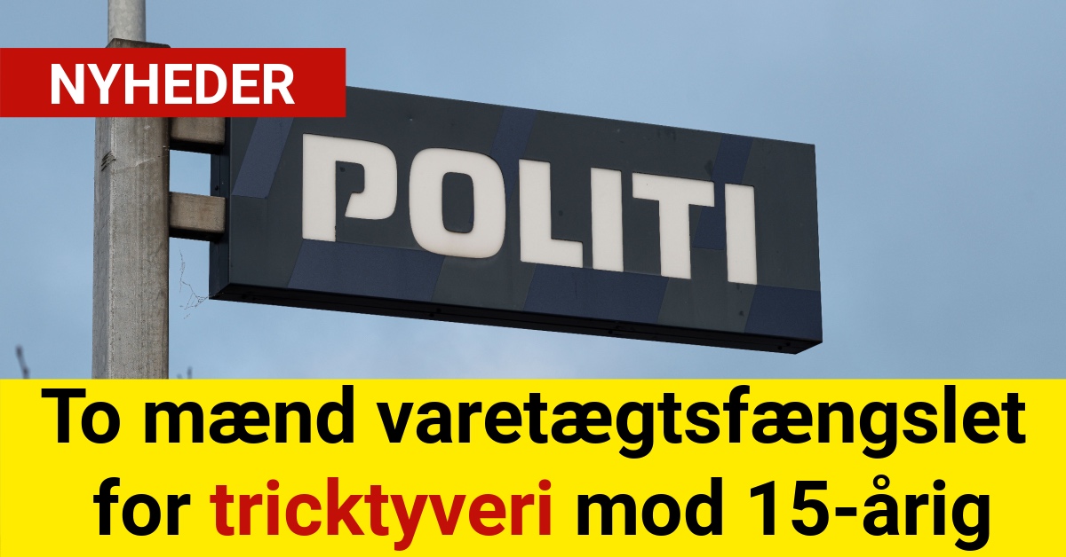 To mænd varetægtsfængslet for tricktyveri mod 15-årig