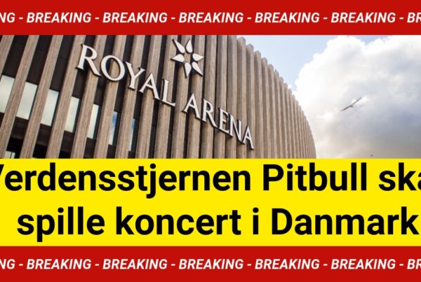 verdensstjernen pitbull