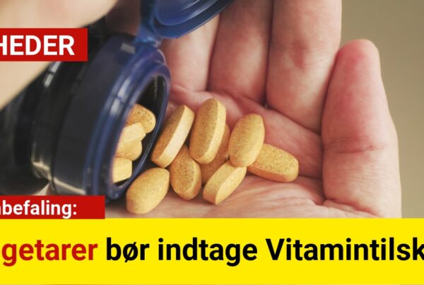 Ny Anbefaling: Vegetarer bør indtage Vitamintilskud