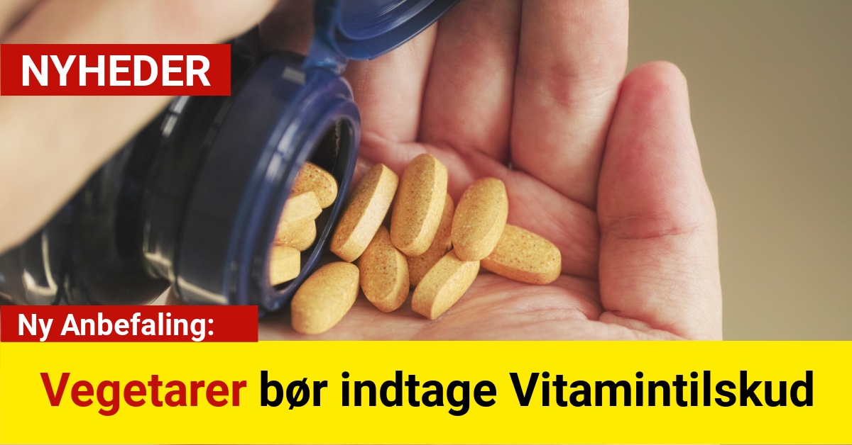 Ny Anbefaling: Vegetarer bør indtage Vitamintilskud