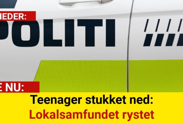 Teenager stukket ned: Lokalsamfundet rystet