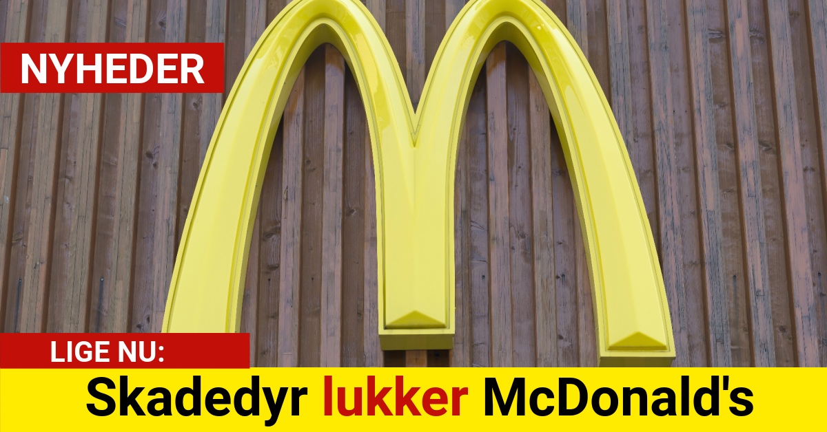 Skadedyr lukker McDonald's