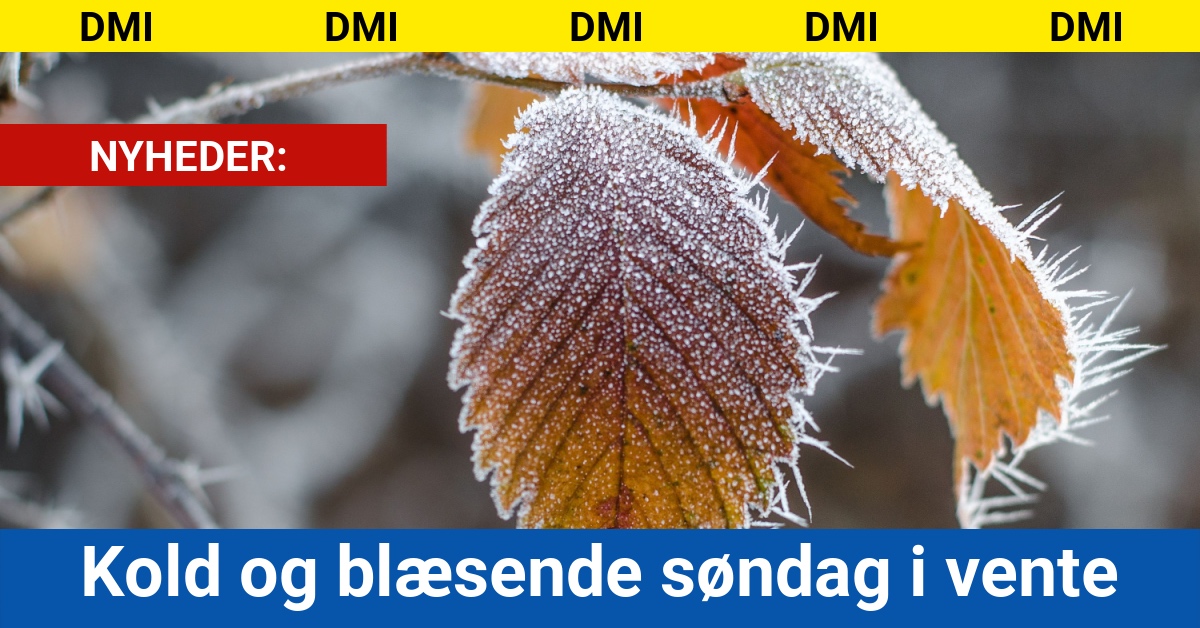 Kold og blæsende søndag i vente