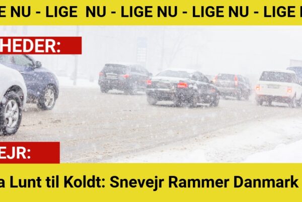 Fra Lunt til Koldt: Snevejr Rammer Danmark