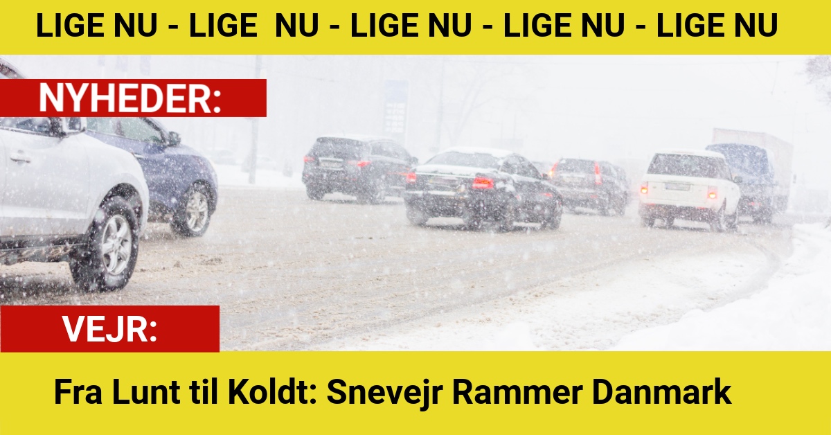 Fra Lunt til Koldt: Snevejr Rammer Danmark