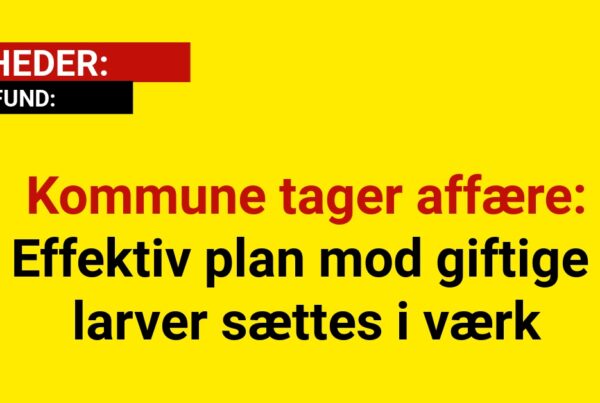 Kommune tager affære: Effektiv plan mod giftige larver sættes i værk