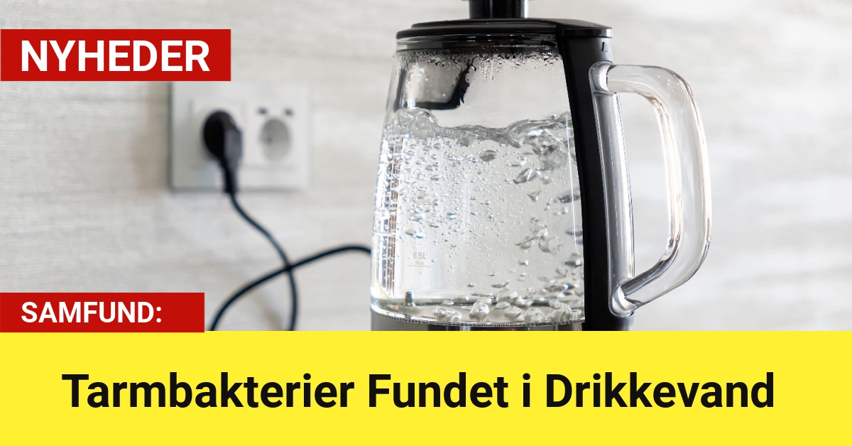 Tarmbakterier Fundet i Drikkevand