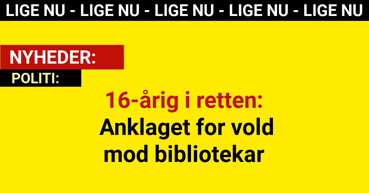 16-årig i retten: Anklaget for vold mod bibliotekar