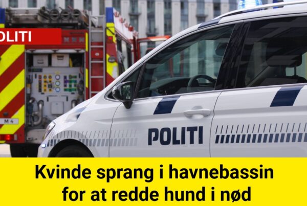 Kvinde sprang i havnebassin for at redde hund i nød