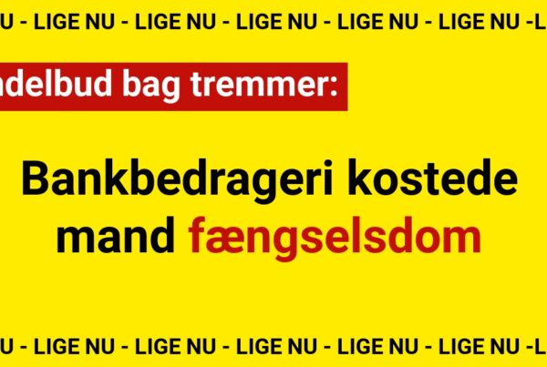 Svindelbud bag tremmer: