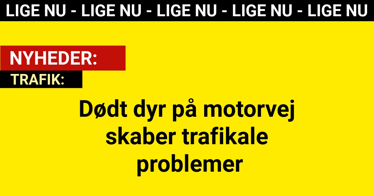 Dødt dyr på motorvej skaber trafikale problemer