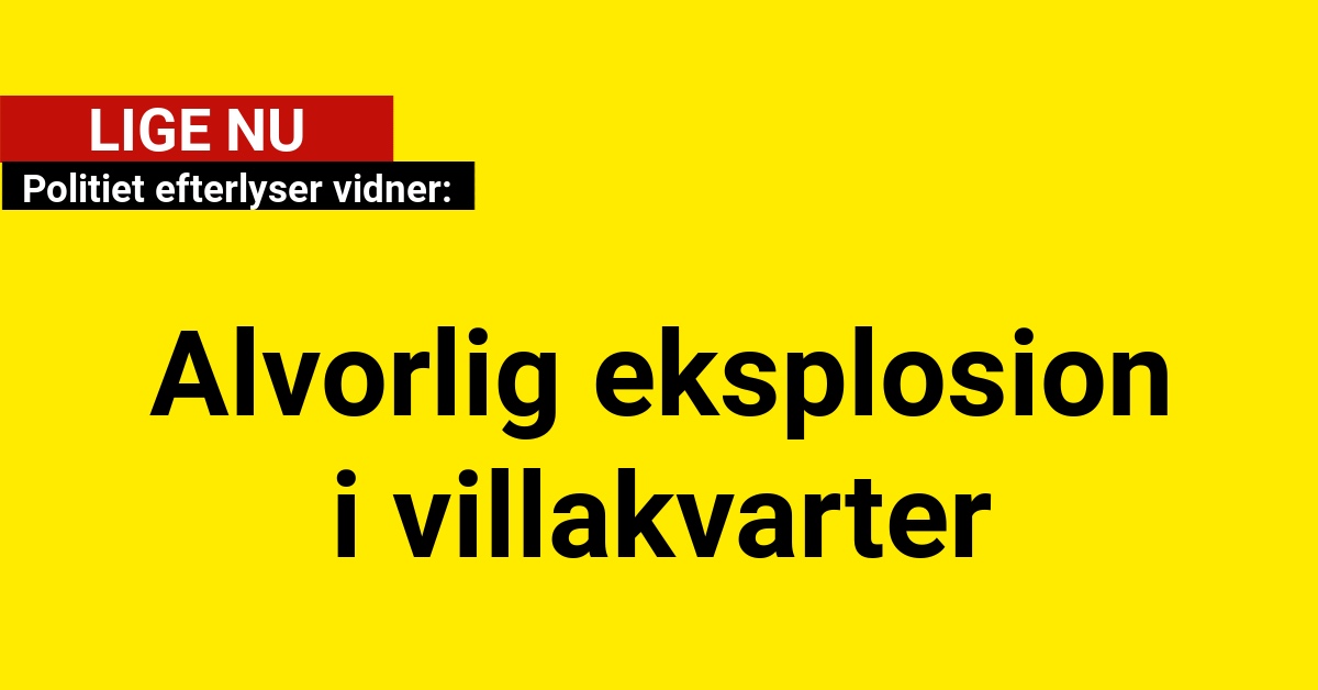 Politiet efterlyser vidner