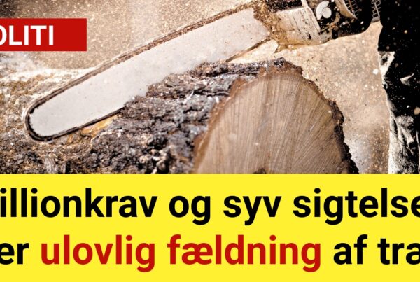 millionkrav og syv sigtelser