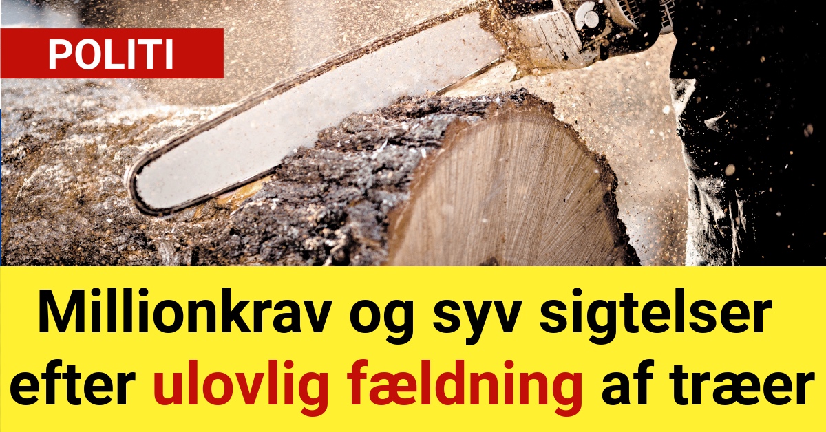 millionkrav og syv sigtelser