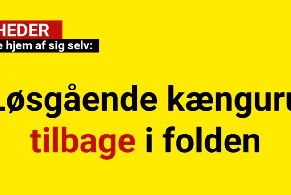 vendte hjem af sig selv
